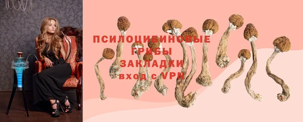 мяу мяу мука Осинники