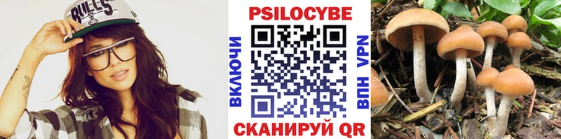 Галлюциногенные грибы прущие грибы  Зеленоградск 